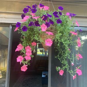 Meet your Posher, Regina